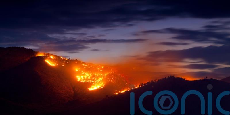 Carbon dioxide levels in atmosphere climb at record rate to new highs in 2024