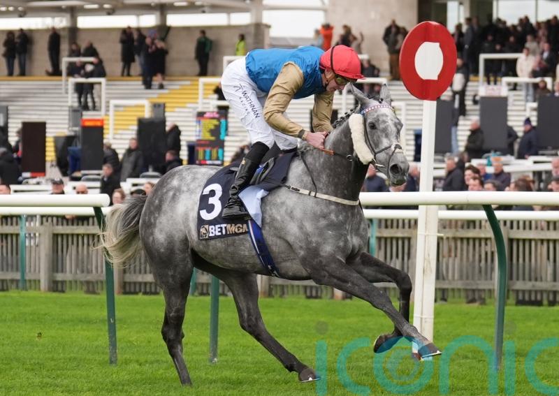 Burke: Fallen Angel ready to take on the boys in QEII