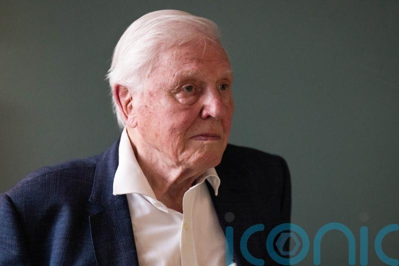 Sir David Attenborough breaks record as oldest Daytime Emmy winner at 99