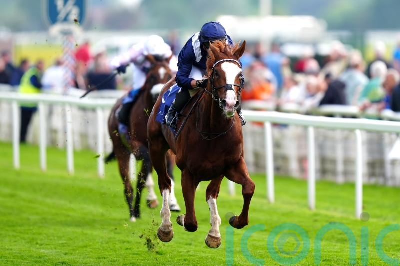 Haggas uncertain on future plans for Economics