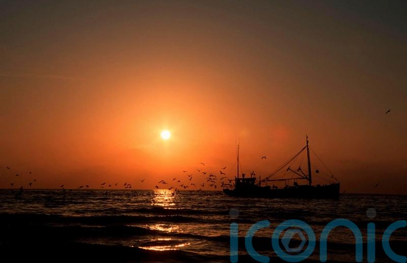 Ministers urged to deliver ‘proper protection’ for ‘precious’ marine ecosystems