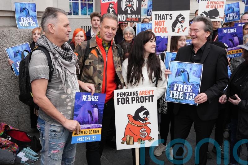 Protesters call for release of penguins ‘trapped in basement’ of London aquarium