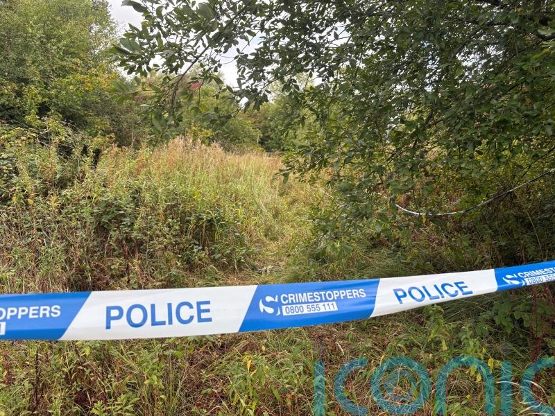 Two people arrested by police investigating rape of Sikh woman are bailed