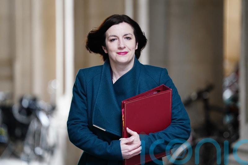 Government Send reforms in white paper to be delayed until new year