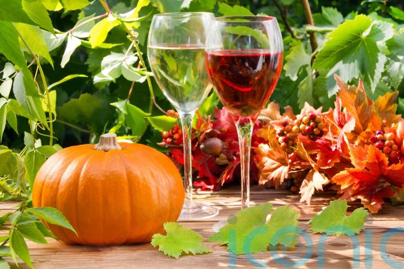 6 wines to cheer autumn and pair with comfort food