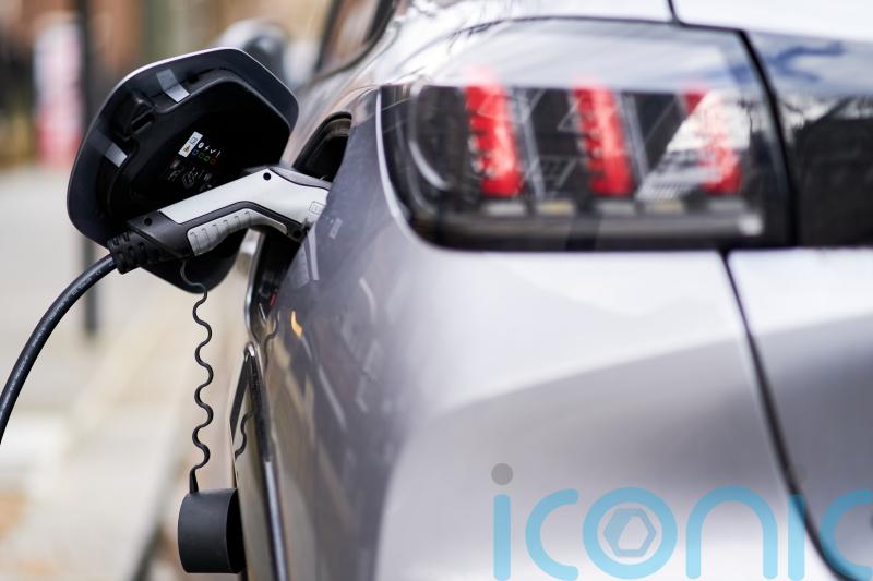 Government mulls steps to make electric vehicles more accessible to households