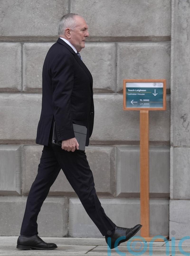 Fianna Fail needs new leader, TD McGuinness says
