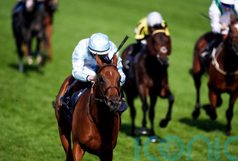 Amiloc to spearhead Beckett’s Breeders’ Cup challenge