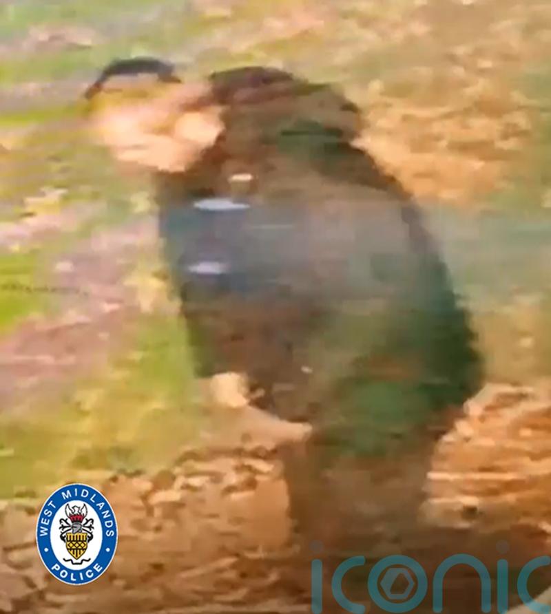 Rape of woman in Walsall being treated as racially aggravated, police say