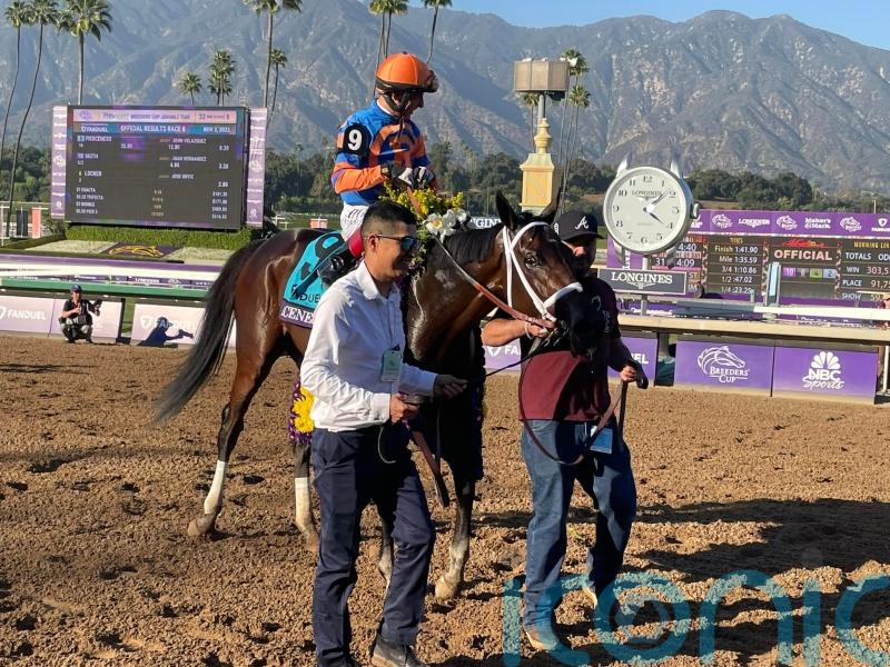 Fierceness primed to lead Pletcher’s three-strong Classic challenge