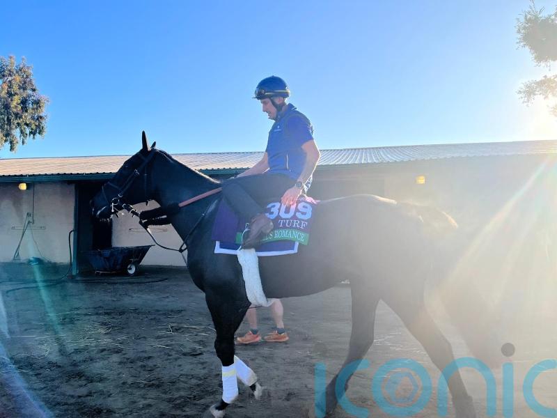 Rebel’s Romance ‘pitch perfect’ with Breeders’ Cup history in sight