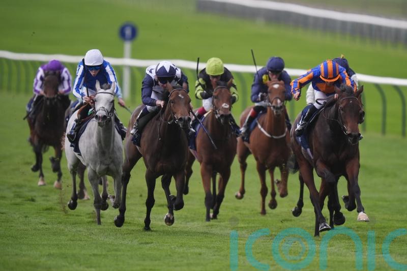 Havana Anna has score to settle with True Love at Del Mar