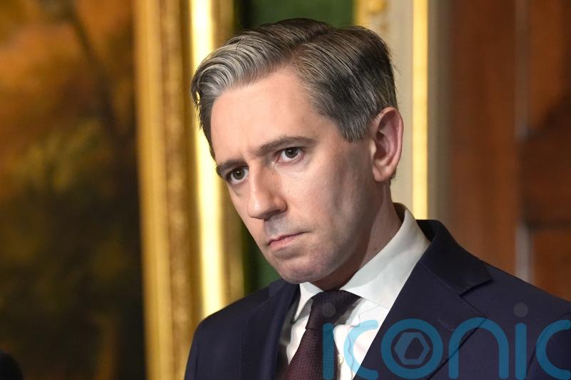 Politicians of the centre cannot ‘put fingers in ears’ on migration – Tanaiste