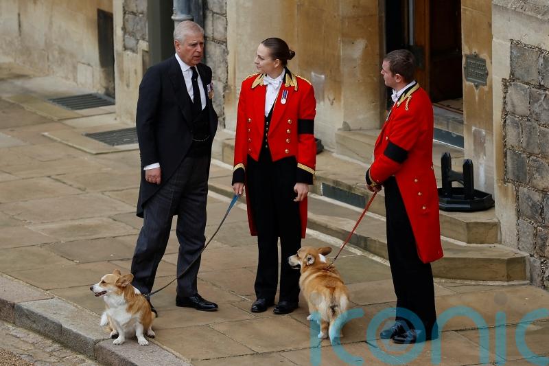 Late Queen’s corgis to remain in care of Andrew’s family – Buckingham Palace