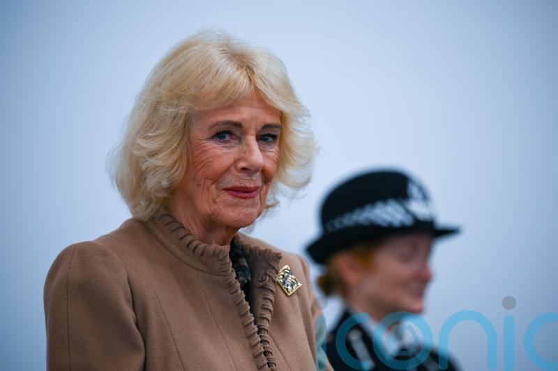 Camilla was ‘concerned’ Andrew row would impact on her work with abuse survivors
