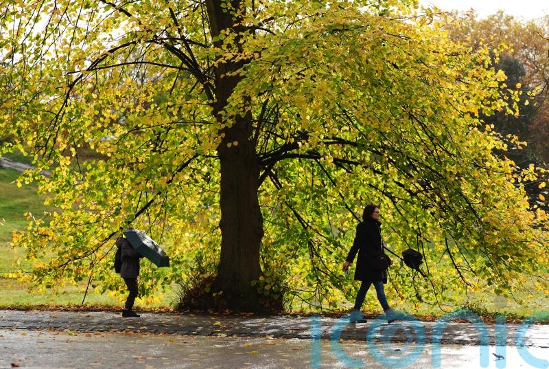 November expected to be warmer than usual but showers set to continue
