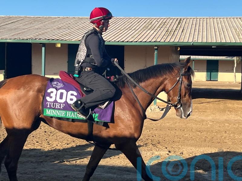 Minnie Hauk and The Lion In Winter to race on next year