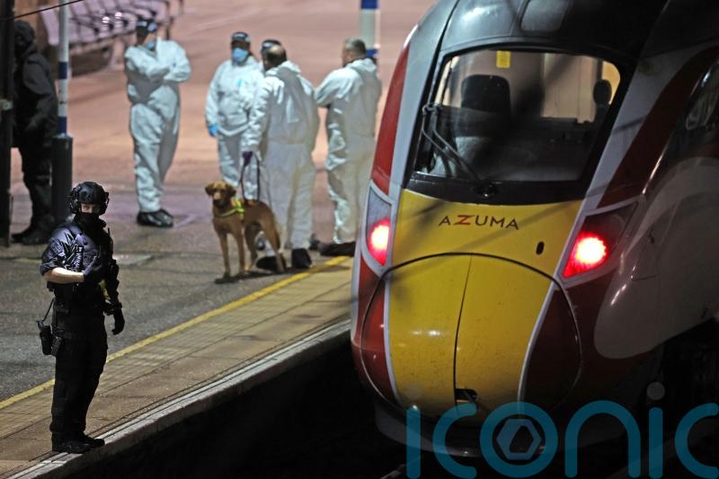 Train hero fights for life as knife attack suspect remains in police custody