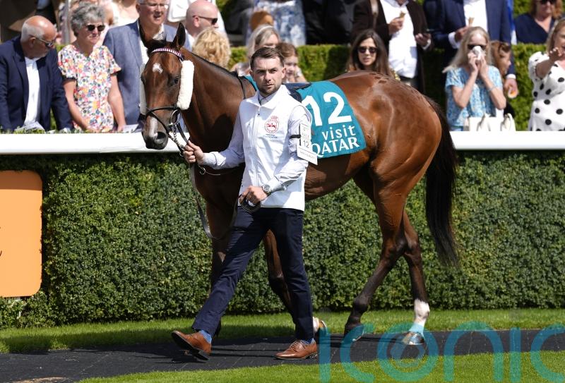 Jack Davison announces death of star sprinter She’s Quality