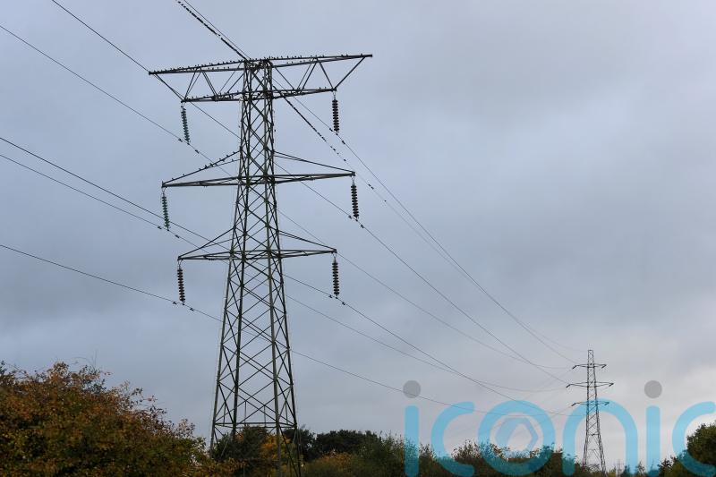 Council raising objection to power line is victory for democracy – campaigners