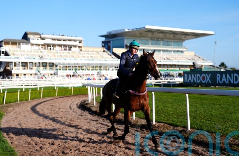 Hanlon mapping out hurdles campaign for Hewick