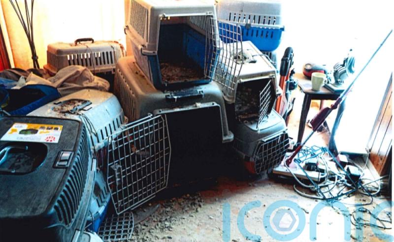 Man who kept birds of prey in ‘appalling’ conditions banned from owning animals