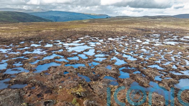 National Trust and Admiral team up to boost nature-based solutions for flooding