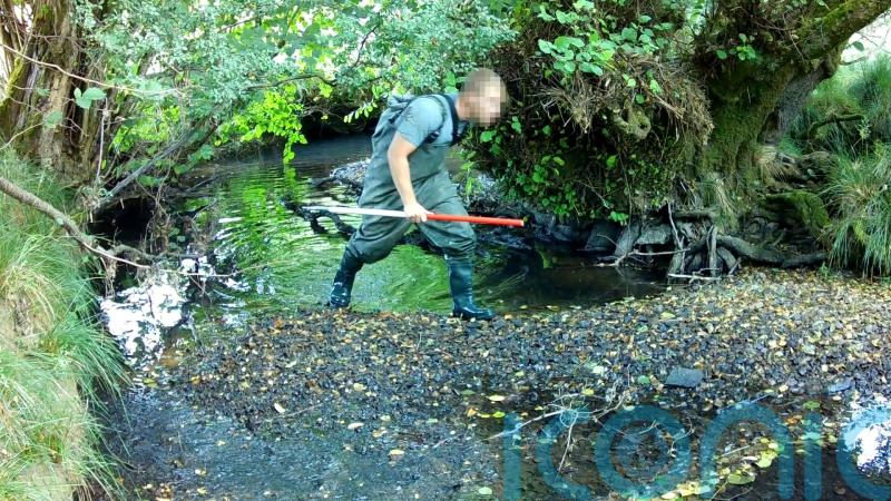 Welsh farmers and landowners launch legal action against Green GEN Cymru