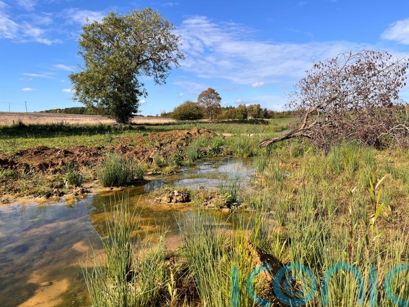 Natural England boss eyes move from bat-by-bat focus to wider nature restoration