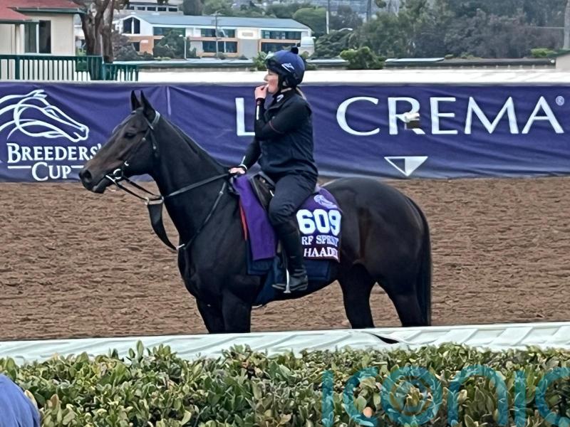 Khaadem heading for Hong Kong run