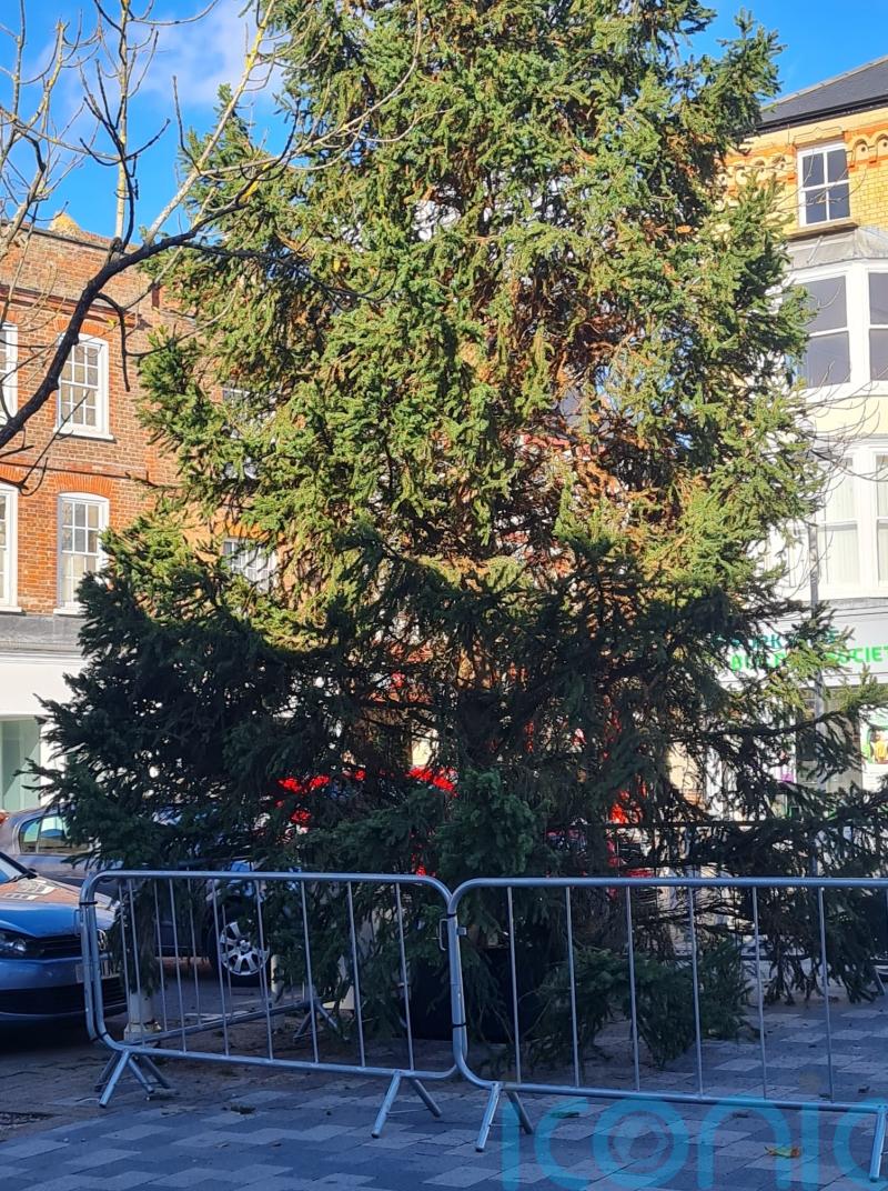 Town’s ‘half dead’ Christmas tree replaced after council brands it a ‘disgrace’