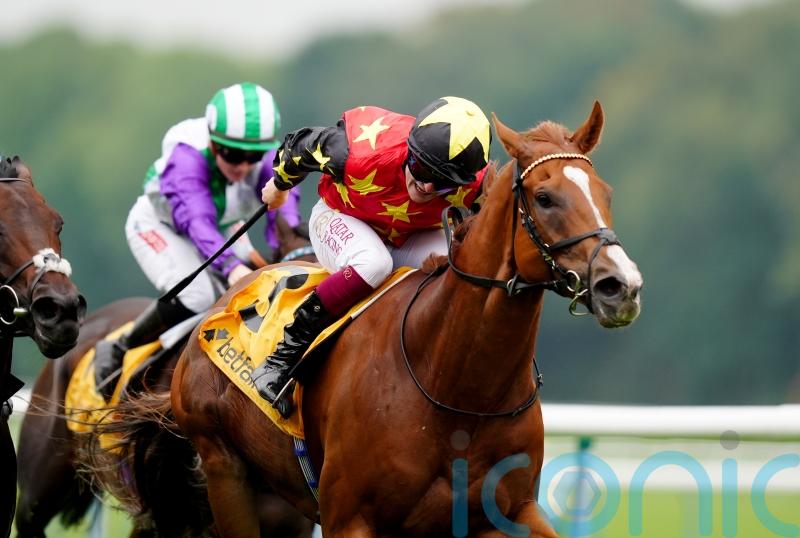 Haggas hopes Montassib has plenty in his favour in Wentworth