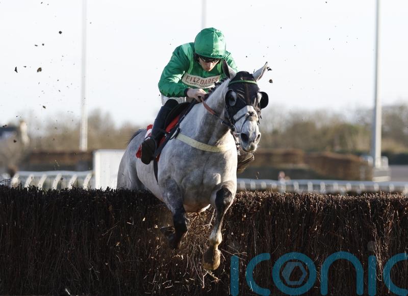 Bad news would be good for Pauling at Cheltenham