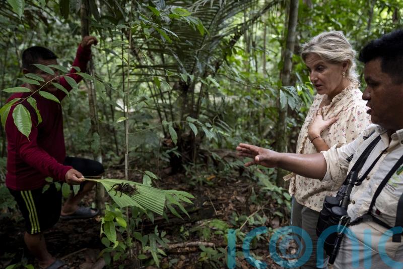 Sophie encounters ‘king of spiders’ on jungle trek in Peru