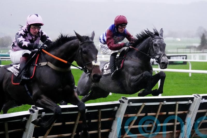 (Absolutely) No Drama This End for Nicholls at Cheltenham