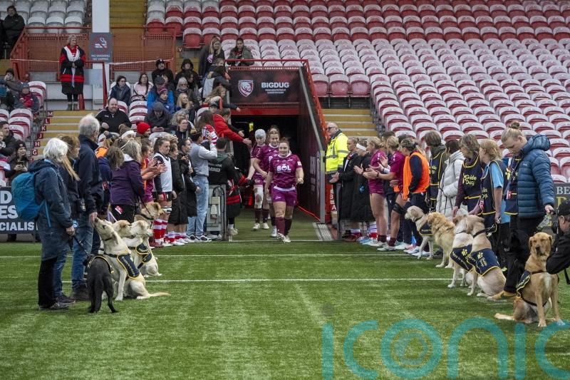 Guide Dogs puppies form guard of honour at Premiership Women’s Rugby match