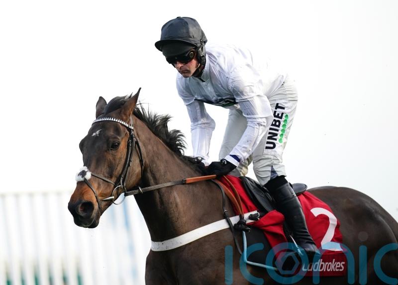 Henderson thrilled with what he is seeing from Constitution Hill