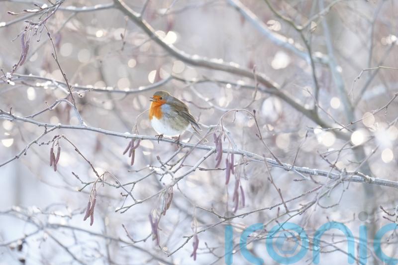 In Pictures: Wintry scenes across the UK as cold snap brings freezing conditions