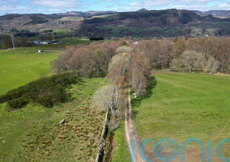 Man accused of gun murder of dog walker to face trial next year