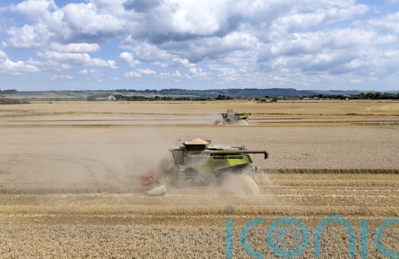 Reeves facing fresh pressure to axe farm inheritance tax changes in Budget