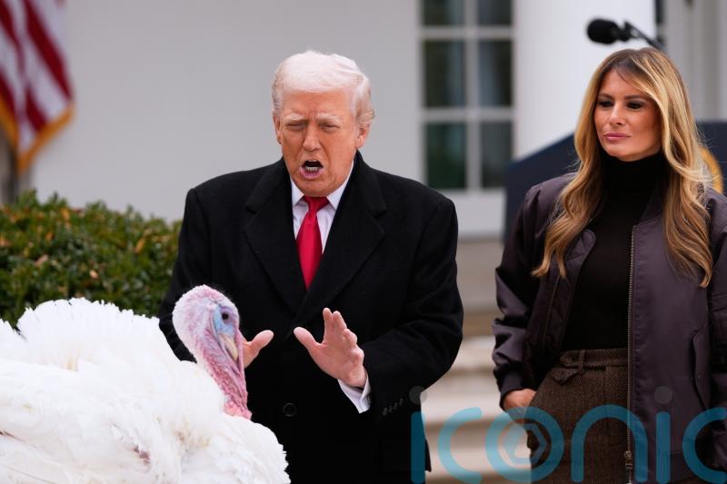 Trump makes dig about Biden as he pardons Thanksgiving turkeys