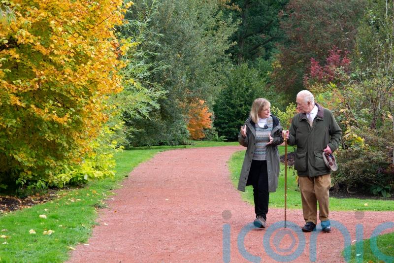 King to discuss passion for environment on This Natural Life Christmas special