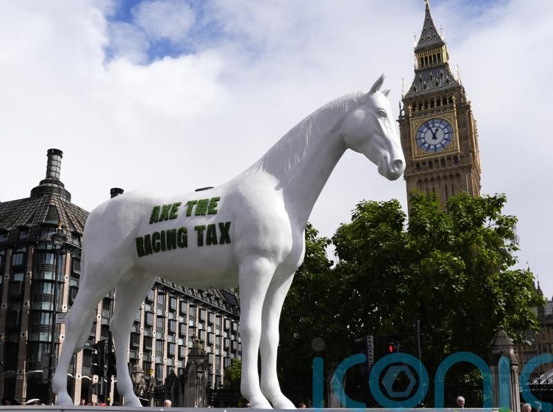 Henderson and Nicholls among those buoyed by Budget news