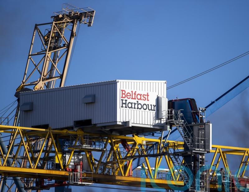 Concern over end to NI grace period on post-Brexit vet medicine rules