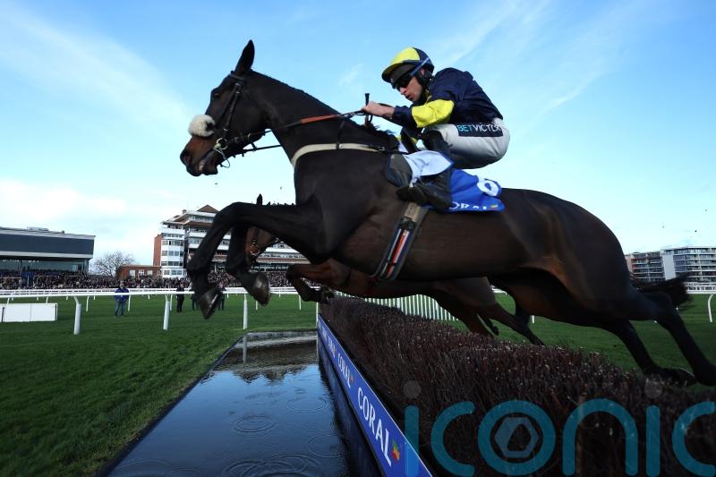 Wendigo claims comfortable Newbury success