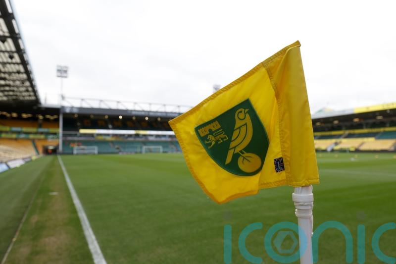 Norwich back on the winning trail after victory over QPR