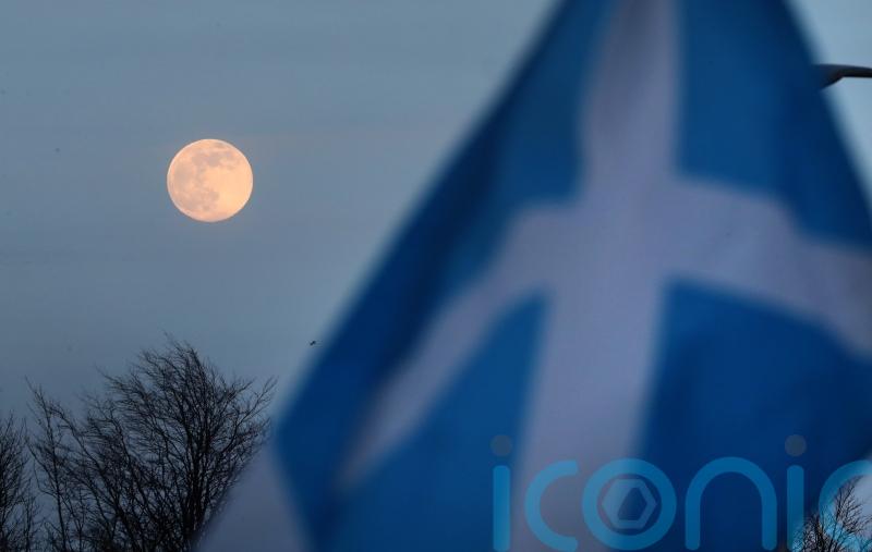 Political leaders condemn threats to workers removing flags for Christmas lights