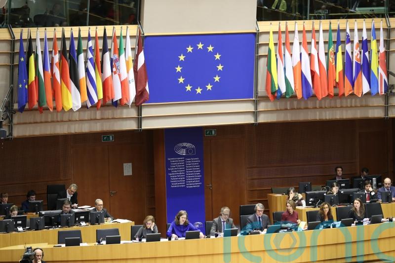 DUP seeks to block Sinn Fein bid for European Parliament ‘observer status’