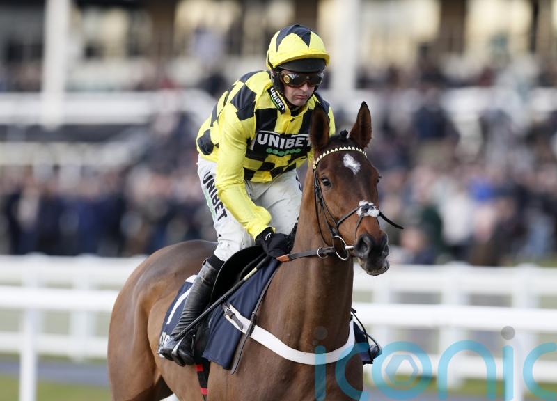 Christmas Hurdle could be ‘right option’ for Sir Gino