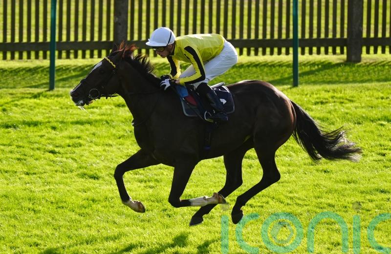 Owen unveils revised Flat plan for Burdett Road